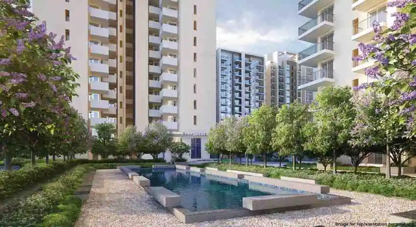 Towers and pool deck Towers above a landscaped pool deck in a Sattva Group community, artist's impression